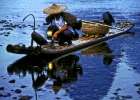 china-li-river-fisherman-cormorant