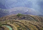china-longji-rice-terraces-fog