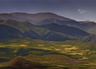 china-quinghai-canola-fields-mts
