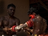 boxer-web