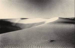 sand dune in sahara desert