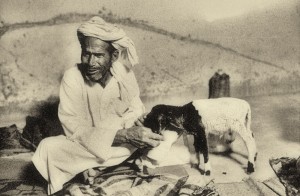 nomad man wearing turban feeds goat from hand