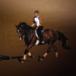 horse-trakehner-rider-canter- A young woman rides her horse at a canter
