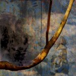 composite photo of Buddha and tree