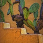 cactus and adobe wall cactus and adobe wall