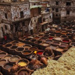 The Tannery in the Medina of Fez The Tannery in the Medina of Fez