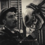 Gypsy man breathes into his horses nostrils