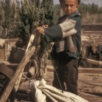 UIgar boy holds the horses for his father at Kashgar market