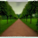 perspective at the Summer Palace Garden