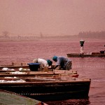 Harvesting salt at Senegal's pink lake