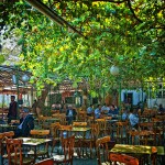 tea garden in Damascus Syria