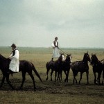 Hungarian cowboys in traditional costume show their unique riding skills