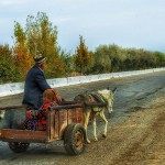 Uzbek couple drive down a modern highway in a donkey cart