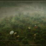 women with buffalos pick tea in fog