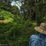 Thailand-jungle-mahout