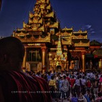 burma-shwedagon-pagoda-monk
