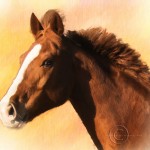 digital painting horse_chestnut with blaze_portrait