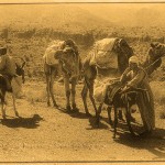 morocco-anti atlas mountains-tafraoute-berbers