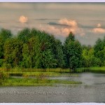 russia_landscape_trees_water
