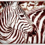 Zebra portrait in red stripes