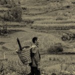 A Chinese farmer with traditional basket on his back walks past fields.