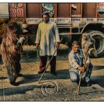 Gypsy men with their animals earn money at a highway stop in India